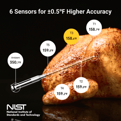 ThermoMaven G1 Wireless Meat Thermometer