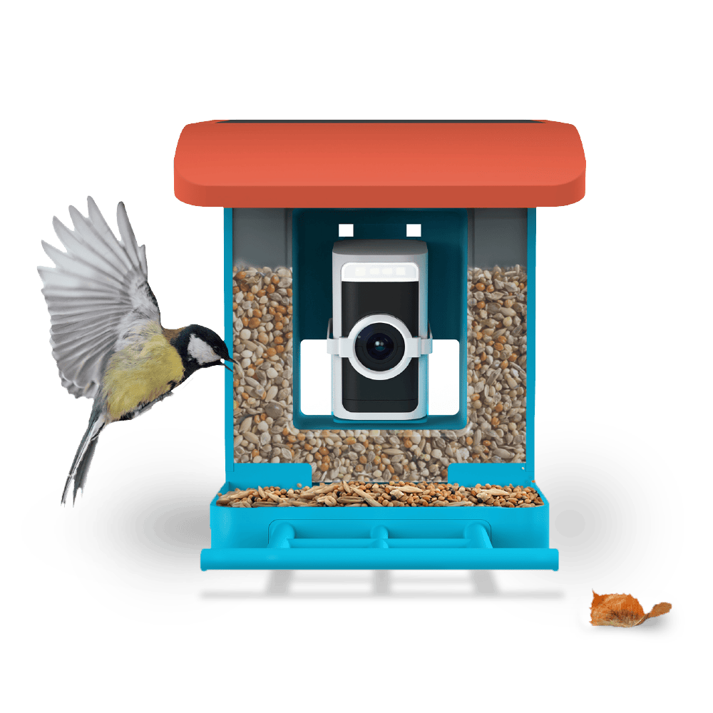 Wyze Bird Feeder