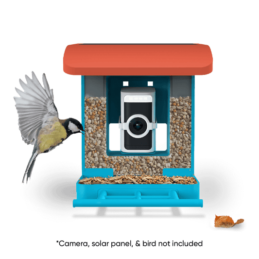 Wyze Bird Feeder