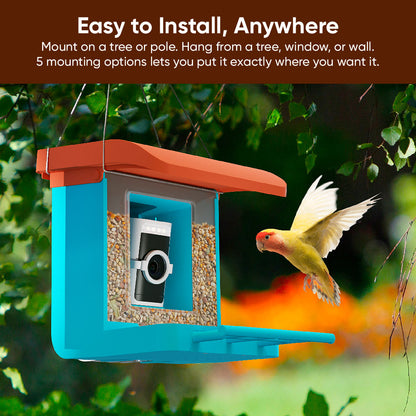 Bird Feeder Wireless Camera Bundle