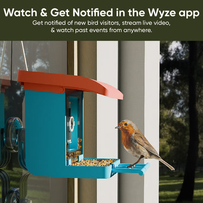 Bird Feeder Wireless Camera Bundle