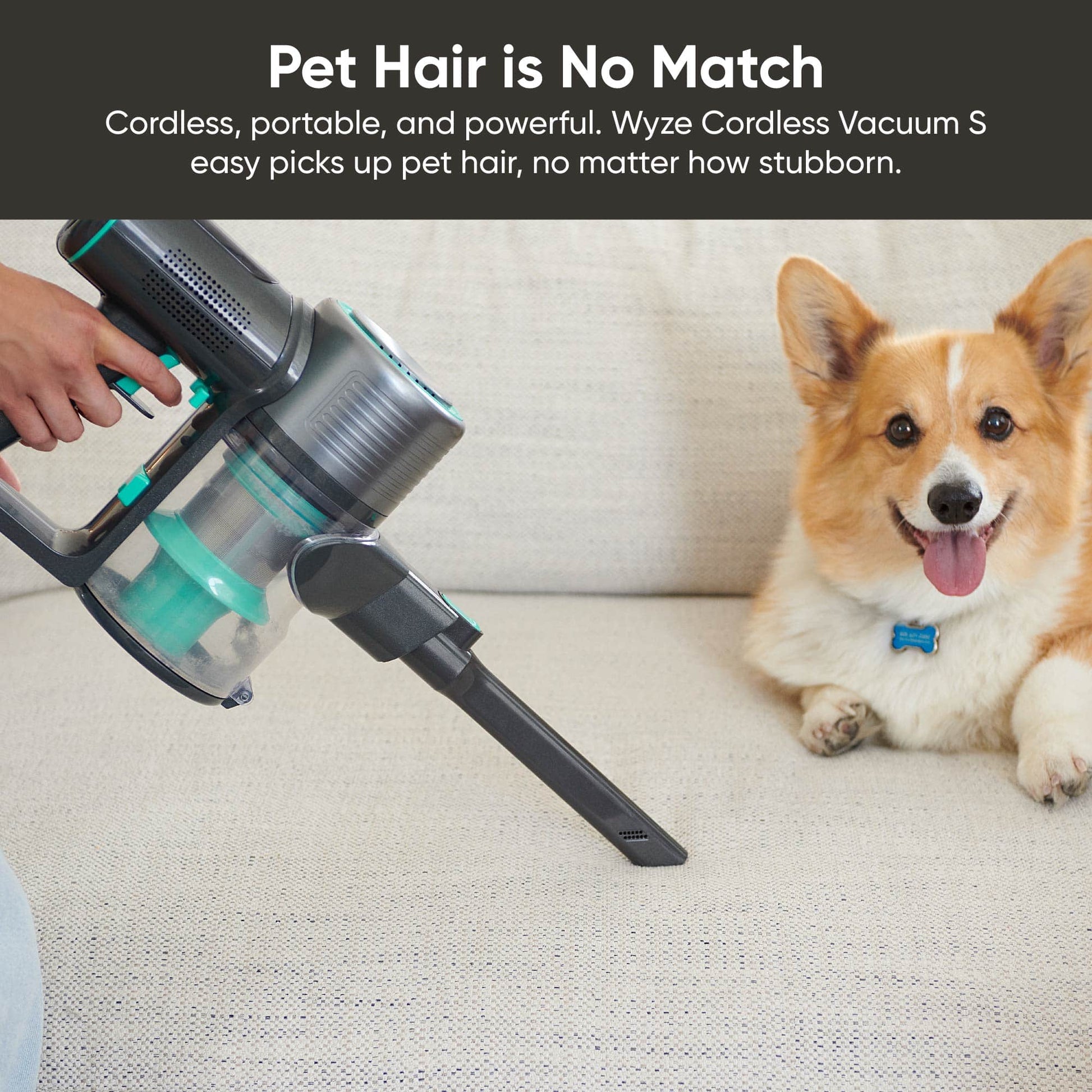 The Best Handheld Vacuum for Pet Hair Is on Sale for Under $100