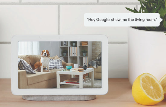 google hub wyze