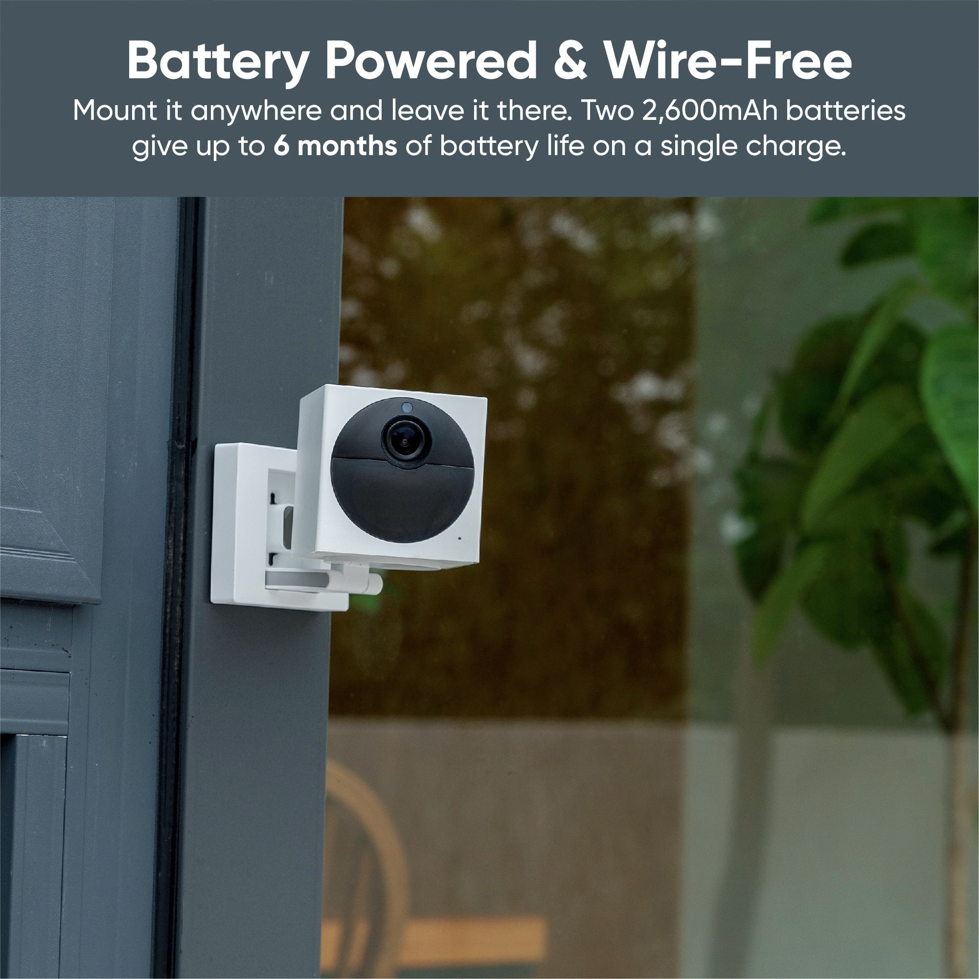 Wyze cam store for outdoor use