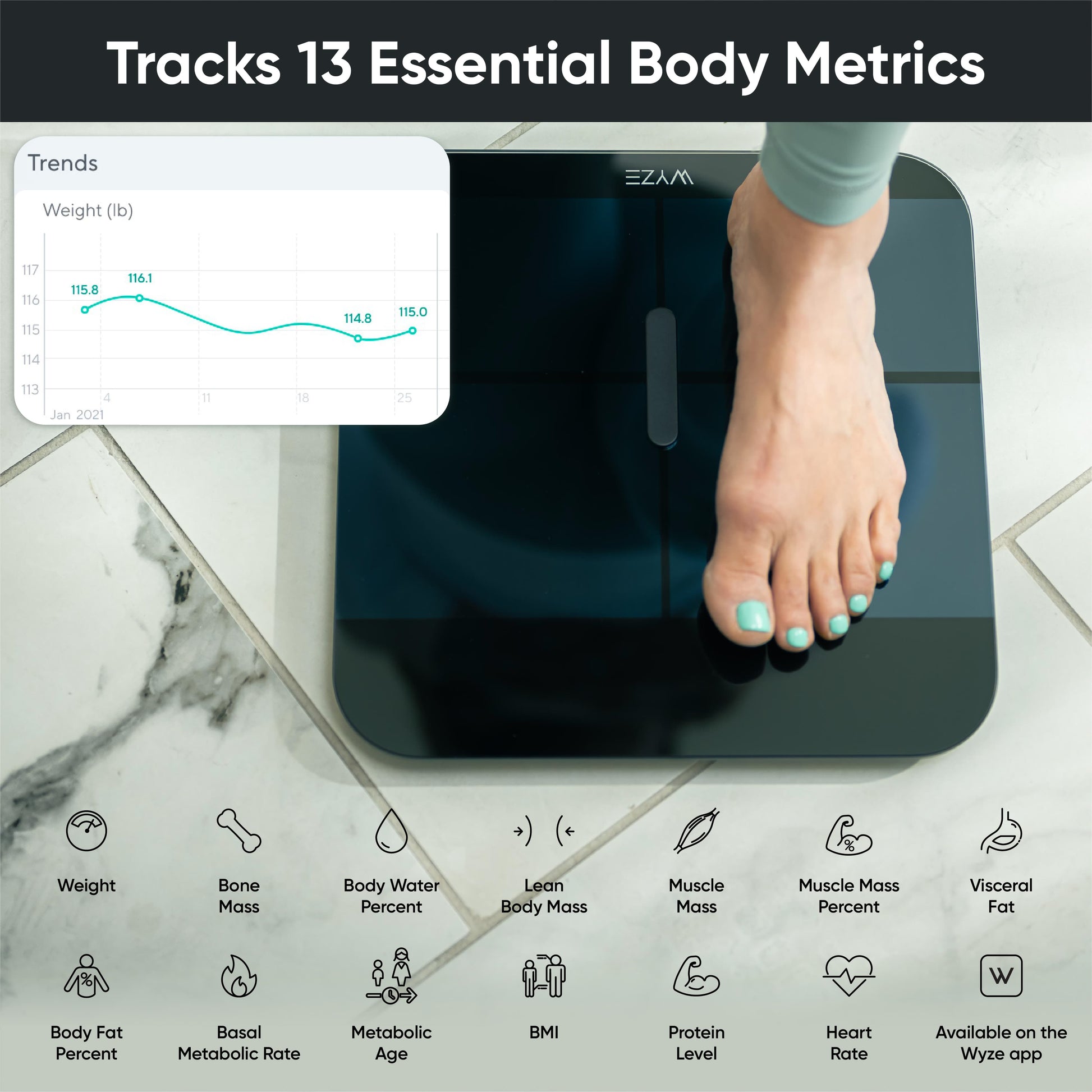iHealth Nexus PRO Digital Bathroom Scale with Smart Bluetooth APP to  Monitor Body Weight, Body Fat Scale,BMI,Muscle Mass,Composition Health  Analyzer- Weighing Up to 400lb for People - Black