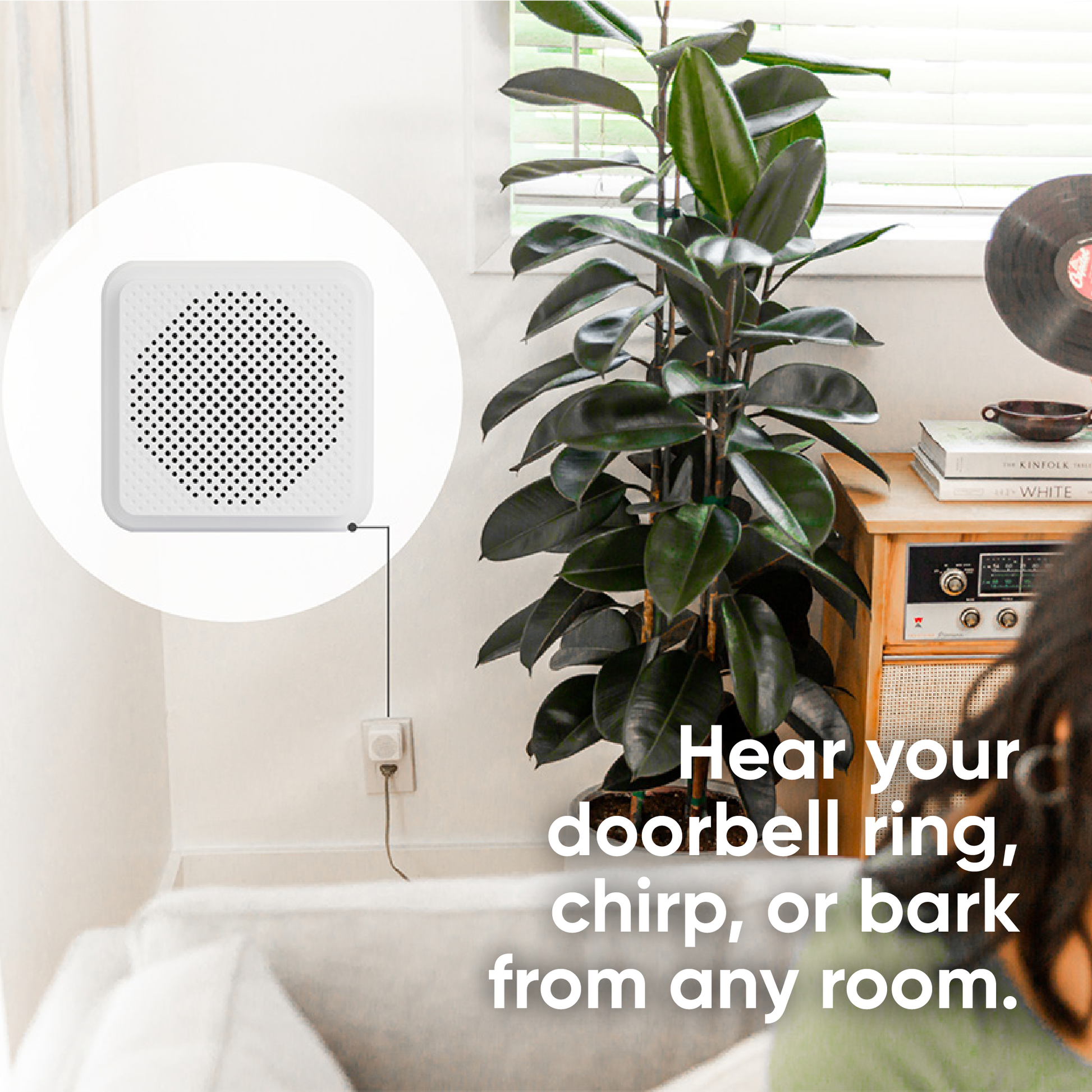 Wyze Video Doorbell (Wired)